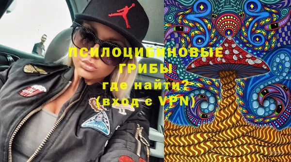 прущая мука Армянск