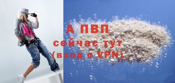 PSILOCYBIN Аркадак